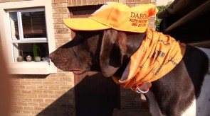 Memphis of Matotoland Kennel