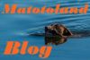 Matotoland Blog